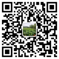 91精品久色蜜桃二区厂家
